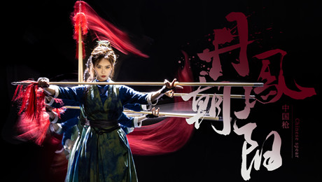 《中国枪·丹凤朝阳》